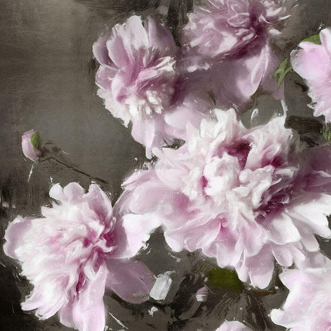 Peonies Bouquet II Black Modern Wood Framed Art Print with Double Matting by Sullivan, Shawna