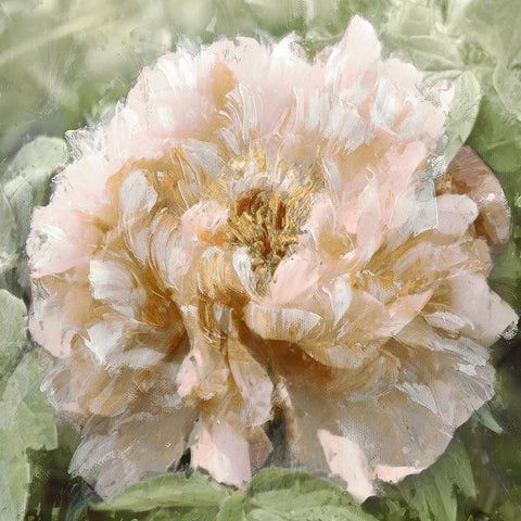 Solo II White Modern Wood Framed Art Print by Sullivan, Shawna