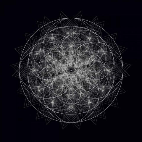 Dynamic I Black Modern Wood Framed Art Print by Anderson, Tyler