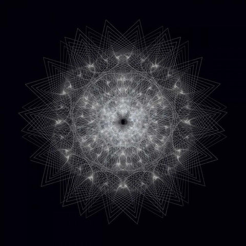 Dynamic III Black Modern Wood Framed Art Print with Double Matting by Anderson, Tyler