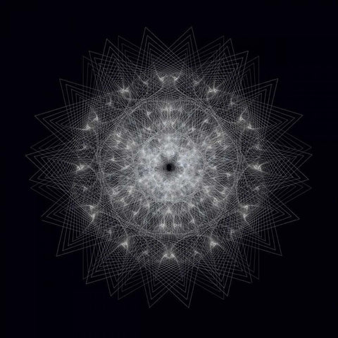 Dynamic III Black Ornate Wood Framed Art Print with Double Matting by Anderson, Tyler
