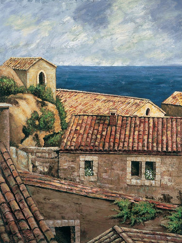 Coastal Village II Black Ornate Wood Framed Art Print with Double Matting by Young, Thomas