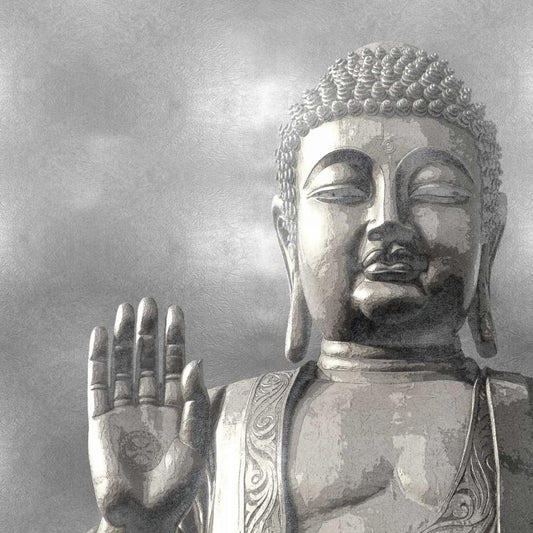 Image Only