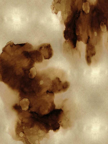 Entice in Bronze White Modern Wood Framed Art Print with Double Matting by Mitchell, Lauren