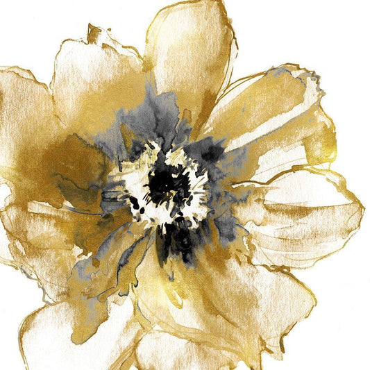 Image Only