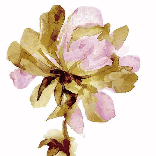 Image Only