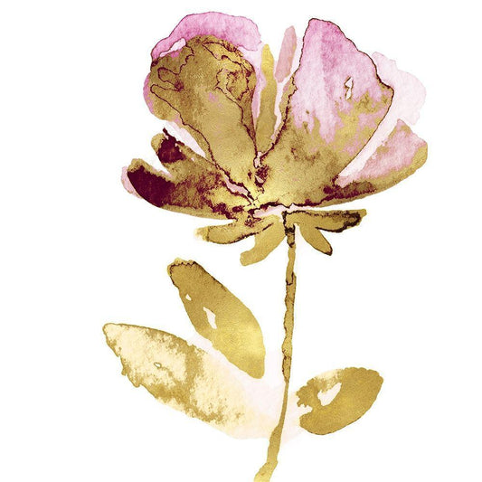 Image Only