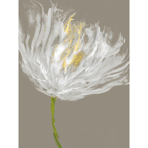 White Tulips I Black Modern Wood Framed Art Print with Double Matting by Austin, Vanessa