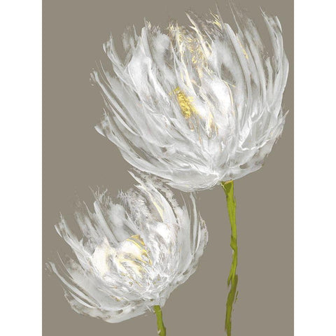 White Tulips II Black Modern Wood Framed Art Print with Double Matting by Austin, Vanessa