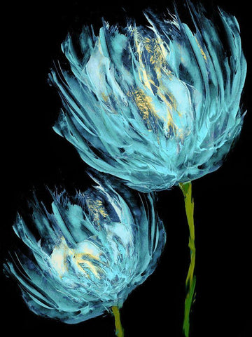 Aqua Tulips II Black Ornate Wood Framed Art Print with Double Matting by Austin, Vanessa