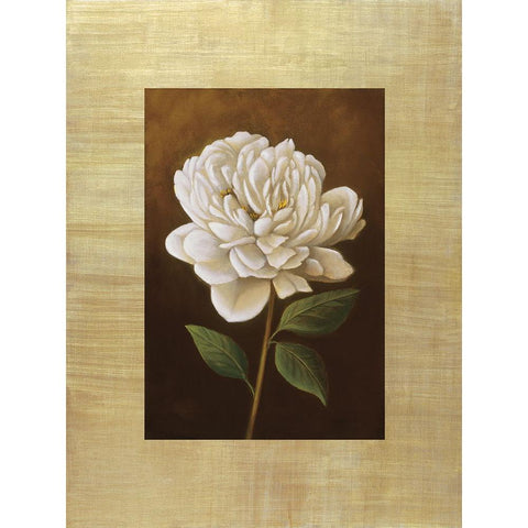 Fleur de Magnolia Black Modern Wood Framed Art Print with Double Matting by Huntington, Virginia