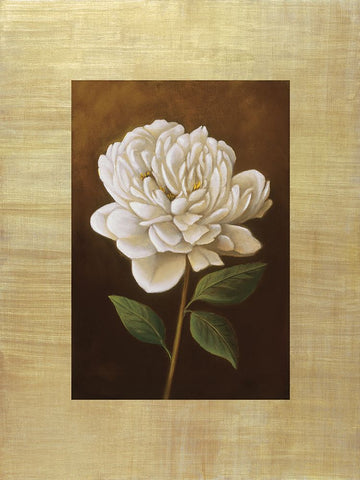 Fleur de Magnolia Black Ornate Wood Framed Art Print with Double Matting by Huntington, Virginia