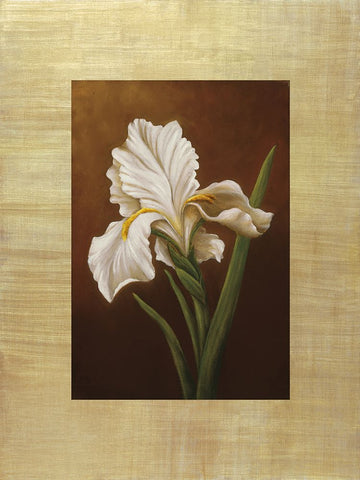 Fleur de Iris White Modern Wood Framed Art Print with Double Matting by Huntington, Virginia