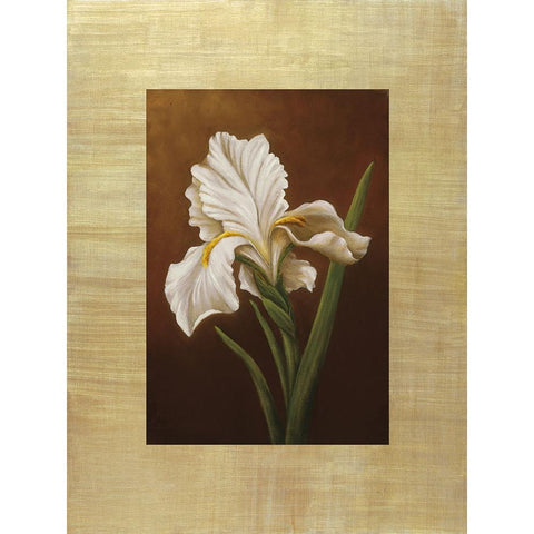 Fleur de Iris Gold Ornate Wood Framed Art Print with Double Matting by Huntington, Virginia