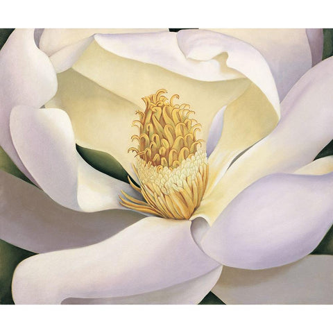 Magnolia White Modern Wood Framed Art Print by Huntington, Virginia