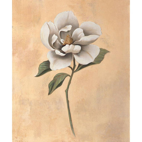 Magnolia White Modern Wood Framed Art Print by Huntington, Virginia