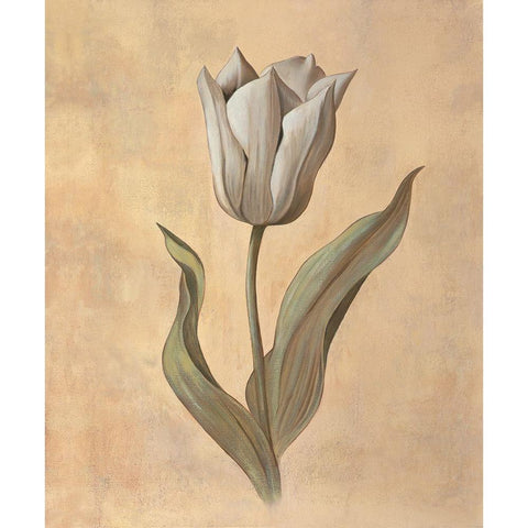 Tulip Gold Ornate Wood Framed Art Print with Double Matting by Huntington, Virginia