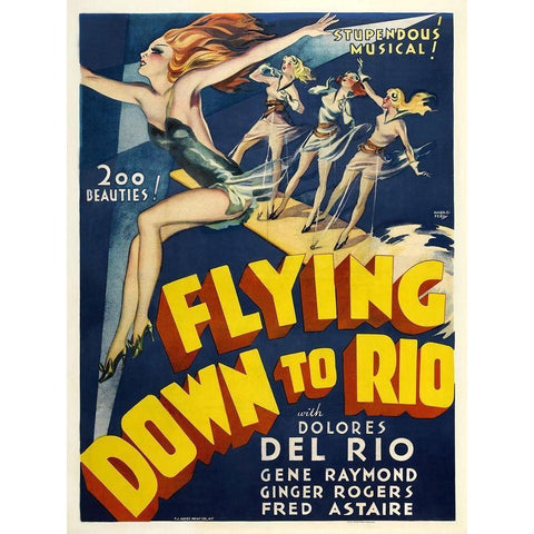 Flying Down To Rio Black Modern Wood Framed Art Print with Double Matting by Anonymous