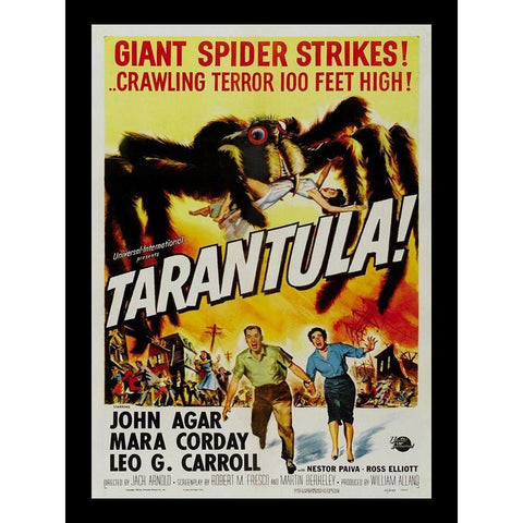 Tarantula White Modern Wood Framed Art Print by Anonymous