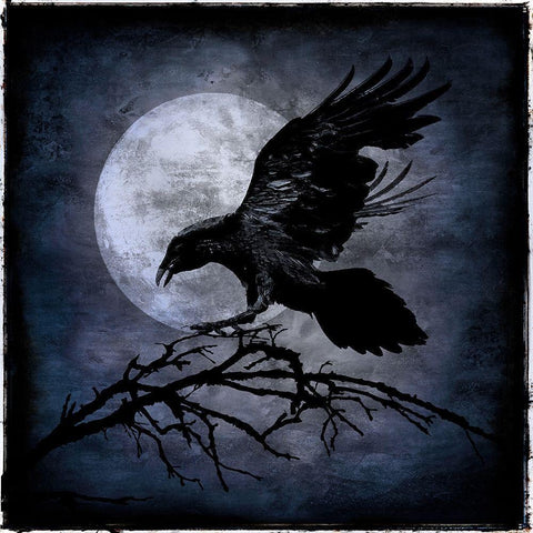 Crow Black Modern Wood Framed Art Print by Wagner, Martin