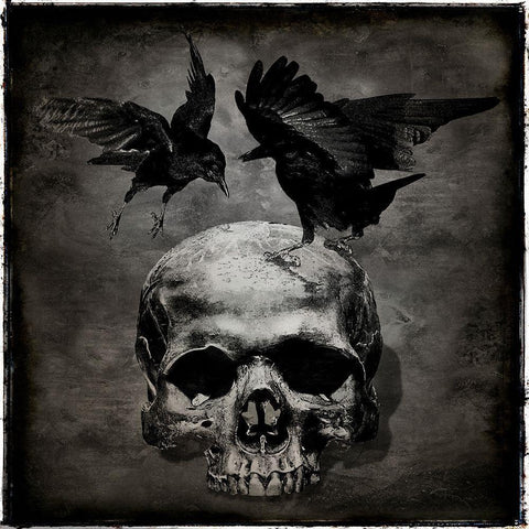 Skull with Crows Black Modern Wood Framed Art Print with Double Matting by Wagner, Martin