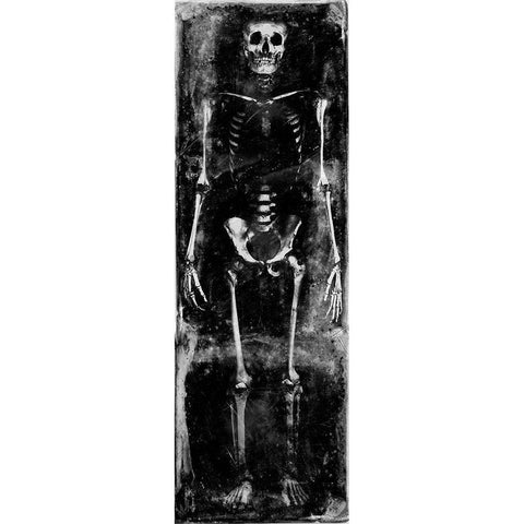 Skeleton I Black Modern Wood Framed Art Print with Double Matting by Wagner, Martin