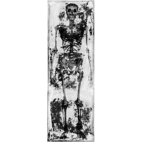 Skeleton IV White Modern Wood Framed Art Print by Wagner, Martin