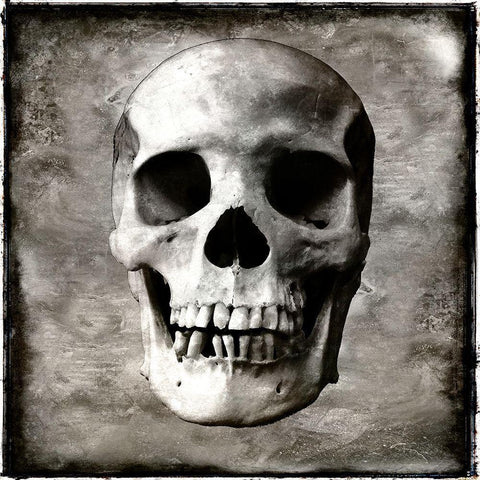 Skull I Black Modern Wood Framed Art Print by Wagner, Martin