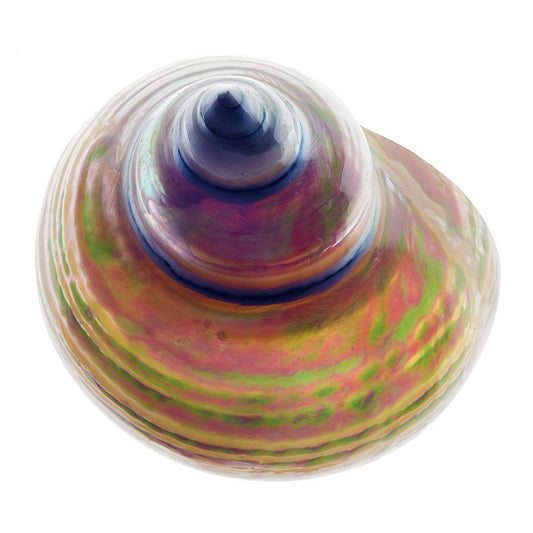 Image Only