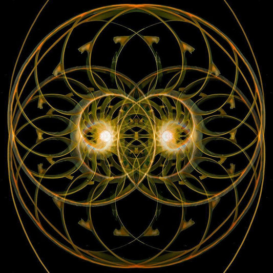 Image Only