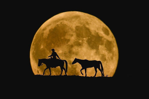 Full Moon Ride White Modern Wood Framed Art Print with Double Matting by Dawson, Robert