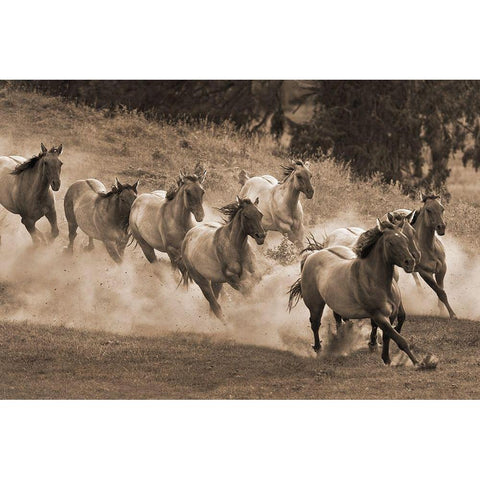 Leader of the Pack White Modern Wood Framed Art Print by Dawson, Robert