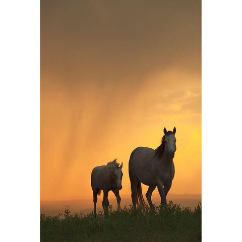 Evening Walk Gold Ornate Wood Framed Art Print with Double Matting by Dawson, Robert