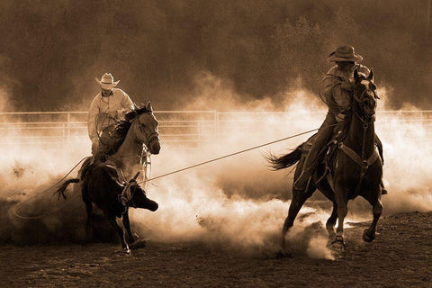 Roping on the Ranch ~ Sepia White Modern Wood Framed Art Print with Double Matting by Dawson, Robert