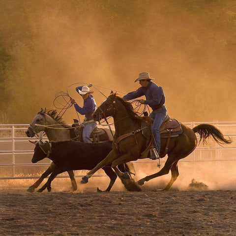 Roping on the Ranch II Black Modern Wood Framed Art Print with Double Matting by Dawson, Robert