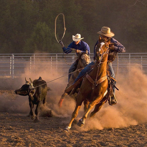 Roping on the Ranch III Gold Ornate Wood Framed Art Print with Double Matting by Dawson, Robert