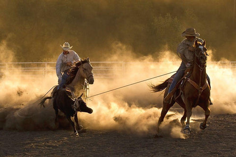 Ropin on the Ranch White Modern Wood Framed Art Print with Double Matting by Dawson, Robert