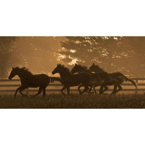 Running For Home II Gold Ornate Wood Framed Art Print with Double Matting by Dawson, Robert