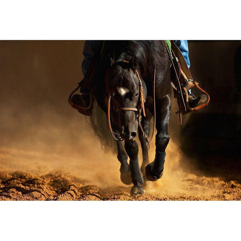 The Reiner Black Modern Wood Framed Art Print with Double Matting by Dawson, Robert