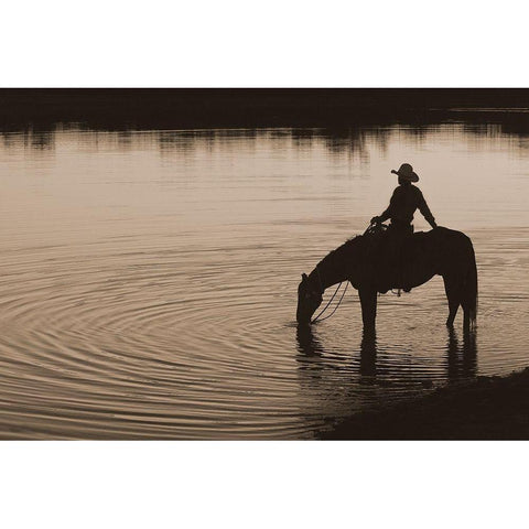 Texas Sunset ~ Sepia Gold Ornate Wood Framed Art Print with Double Matting by Dawson, Robert