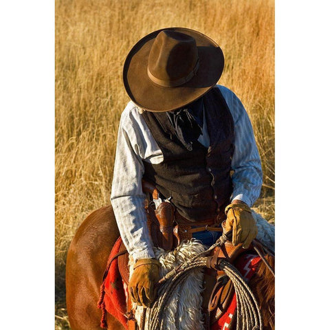 The Plains Drifter Gold Ornate Wood Framed Art Print with Double Matting by Dawson, Robert