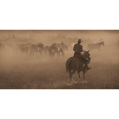 Changing Pastures White Modern Wood Framed Art Print by Dawson, Robert