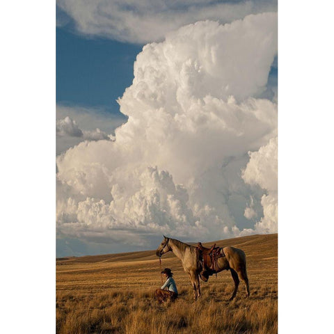 Thunder On the Prairie White Modern Wood Framed Art Print by Dawson, Robert