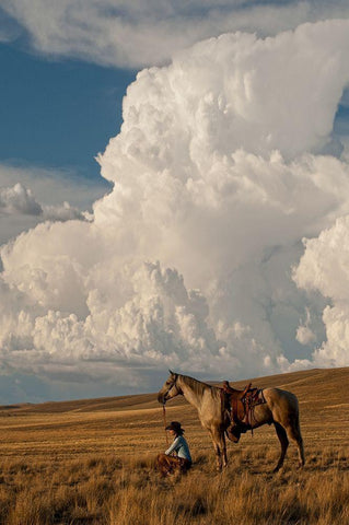 Thunder On the Prairie White Modern Wood Framed Art Print with Double Matting by Dawson, Robert