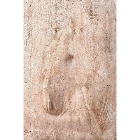 The White Stallion White Modern Wood Framed Art Print by Dawson, Robert