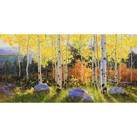 Horizontal of Aspen Vista Sunset Black Modern Wood Framed Art Print with Double Matting by Kim, Gary
