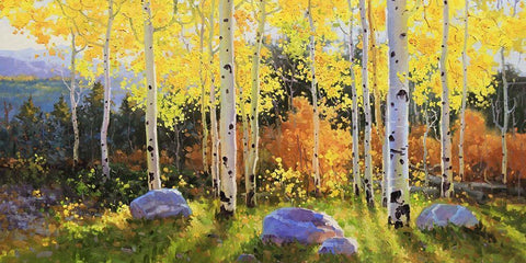 Horizontal of Aspen Vista Sunset White Modern Wood Framed Art Print with Double Matting by Kim, Gary