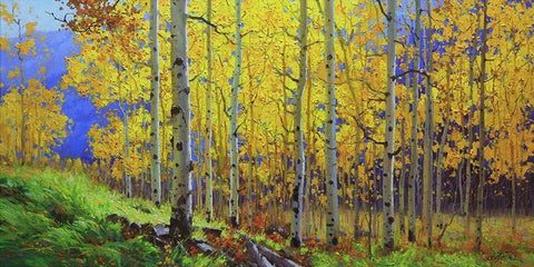 Fall Aspen White Modern Wood Framed Art Print with Double Matting by Kim, Gary