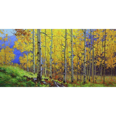Fall Aspen Black Modern Wood Framed Art Print with Double Matting by Kim, Gary