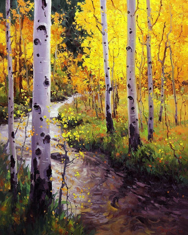 Twilight Glow Over Aspen White Modern Wood Framed Art Print with Double Matting by Kim, Gary